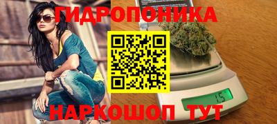 соль ск Бердск