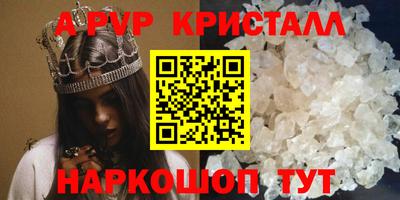 соль ск Бердск