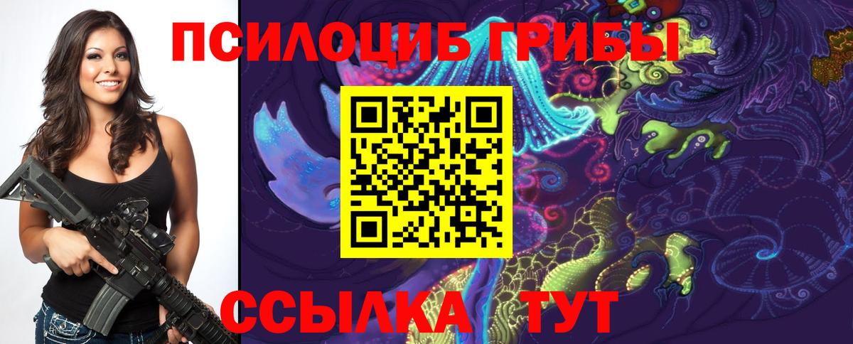 Костомукша  где купить   Вход с VPN  Псилоцибиновые грибы Magic Shrooms 